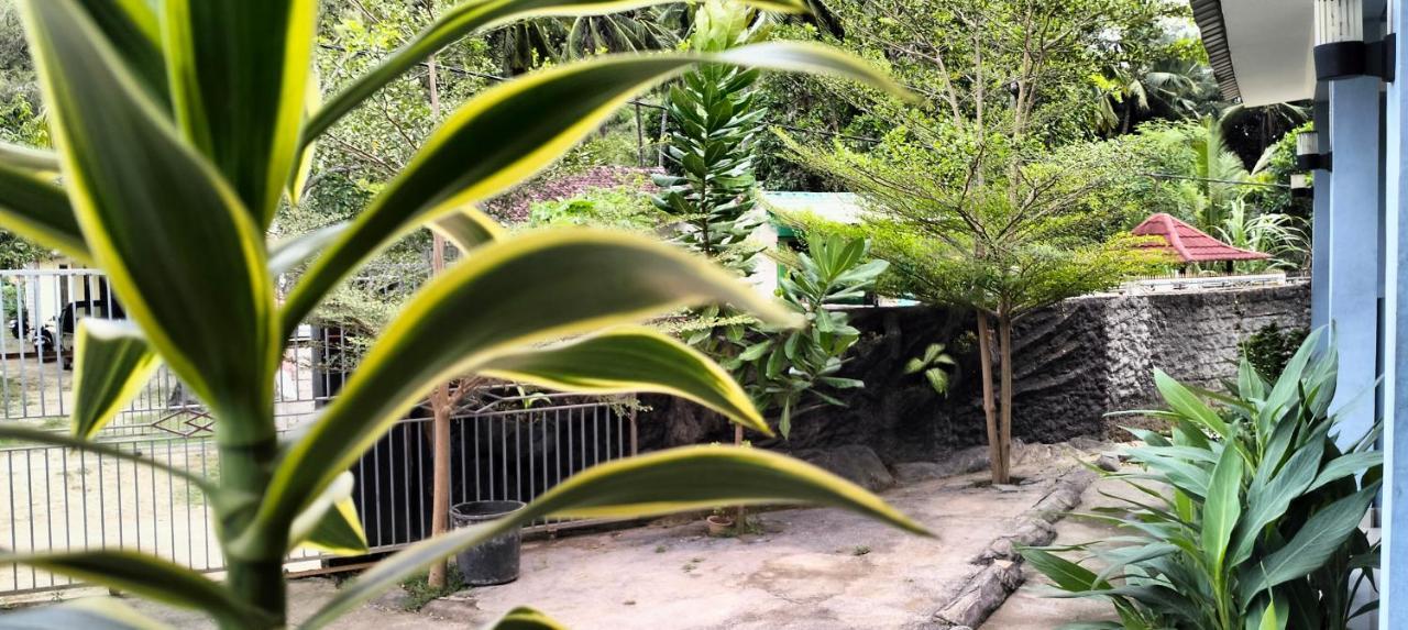 Sakila Homestay Kuta  Exteriör bild